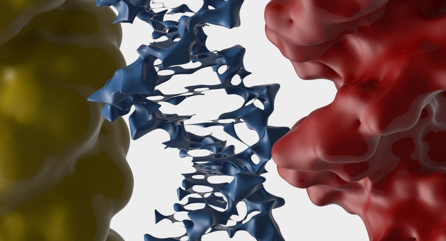 3D DNA 3 pack 3D model_3