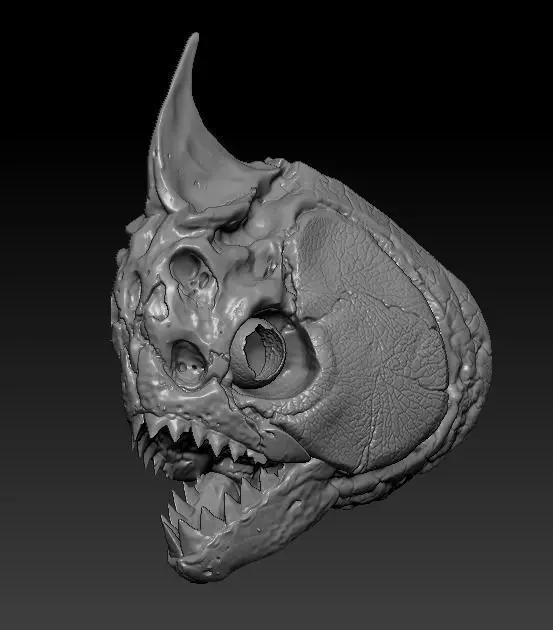 Amazon Piranha Skull  3D print model_0