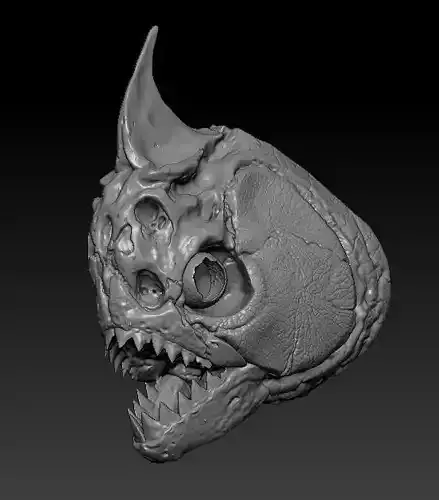 Amazon Piranha Skull  3D print model