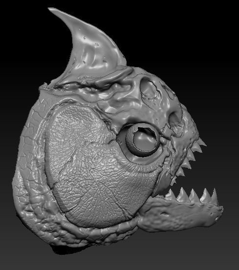 Amazon Piranha Skull  3D print model_3