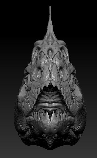 Amazon Piranha Skull  3D print model_2