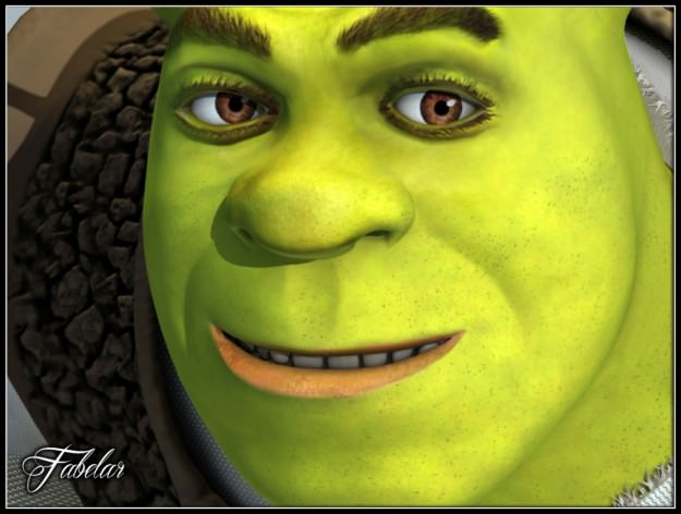 SHREK std mat 3D model_9