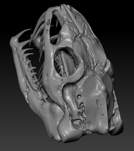 Anaconda Skull 3D print model_2
