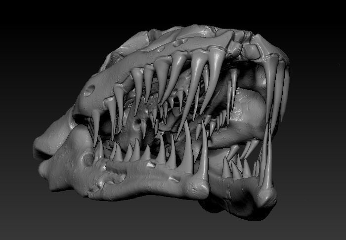 Anaconda Skull 3D print model_1