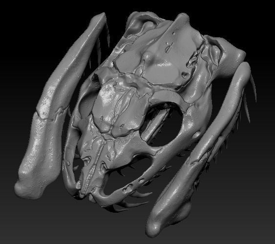 Anaconda Skull 3D print model_5