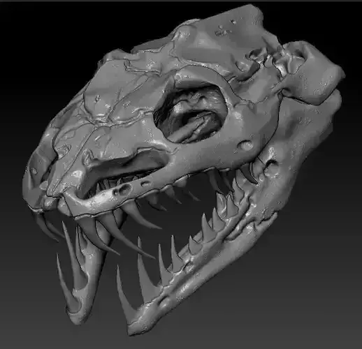 Anaconda Skull 3D print model