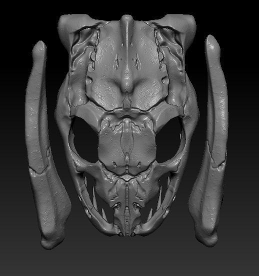 Anaconda Skull 3D print model_4