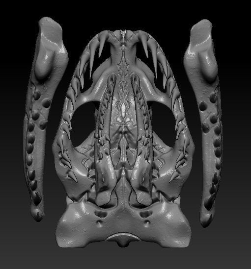 Anaconda Skull 3D print model_7