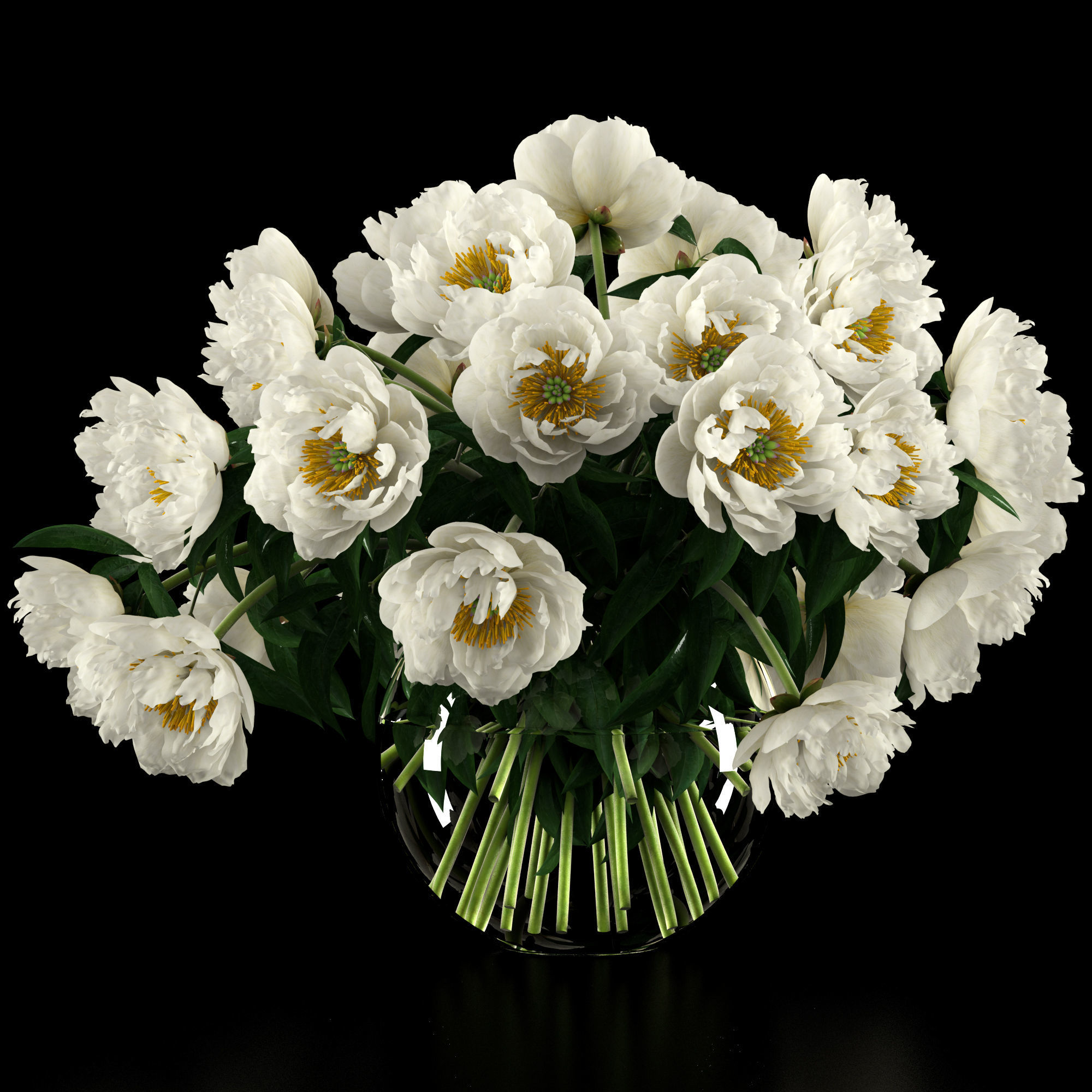 White peonies 3D model_7