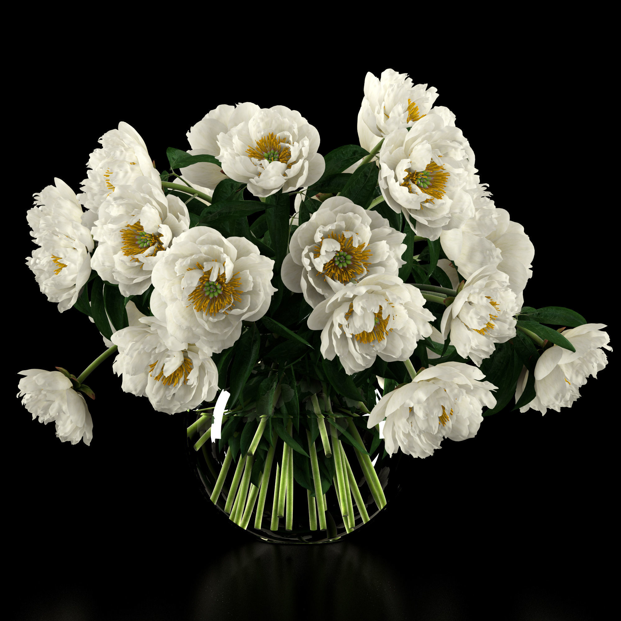 White peonies 3D model_5