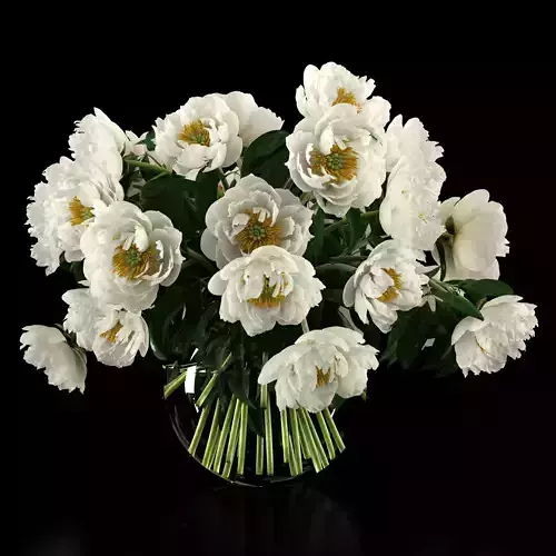 White peonies 3D model White peonies 3D model