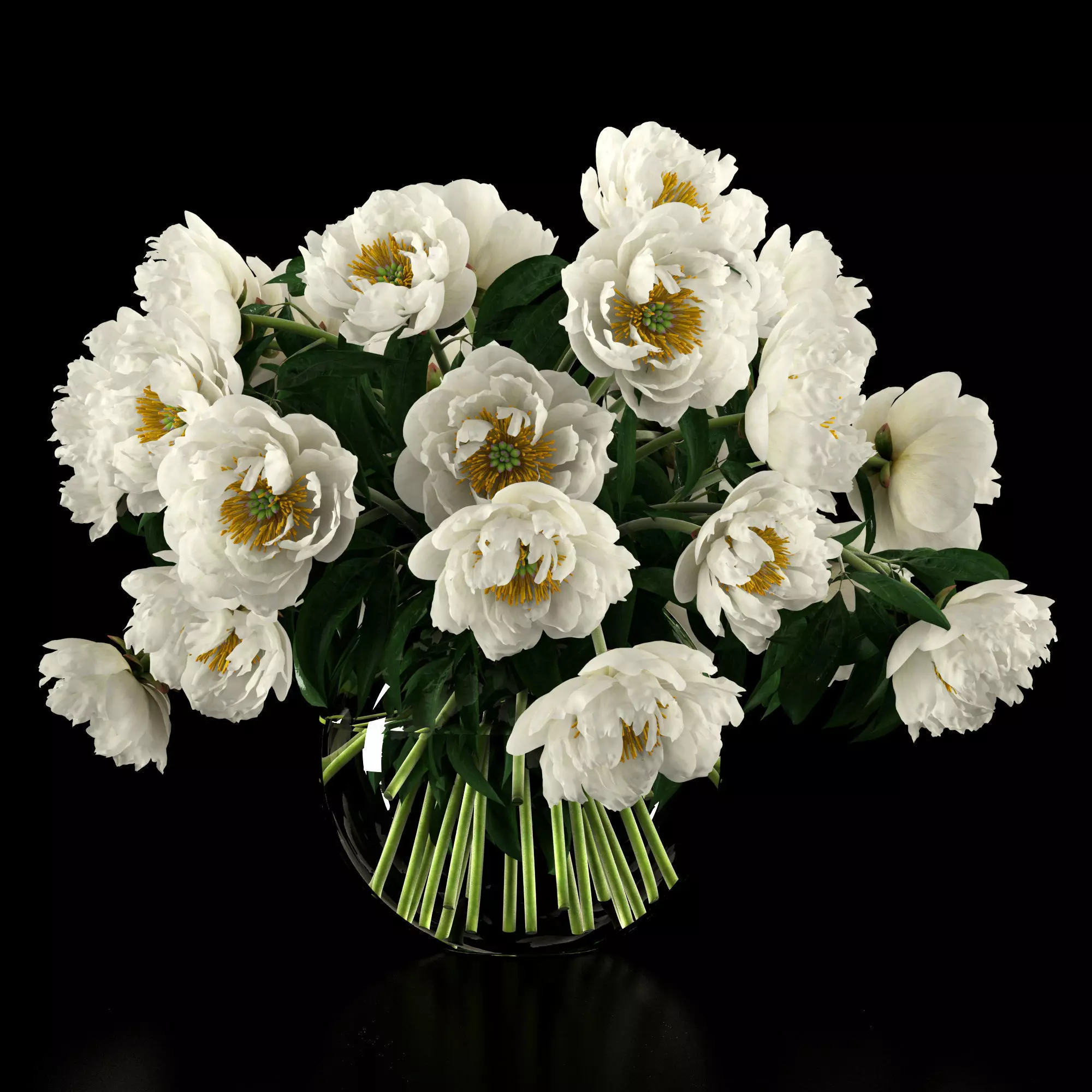 White peonies 3D model_0
