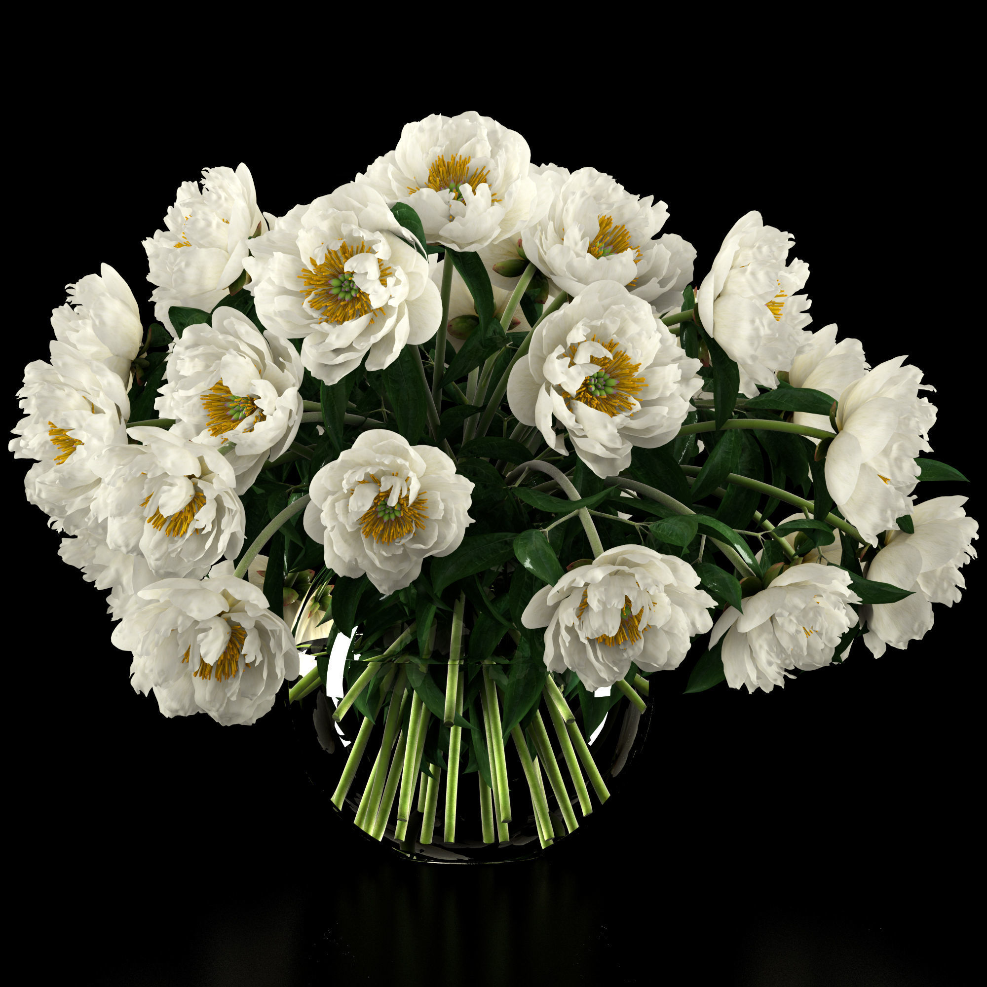 White peonies 3D model_10