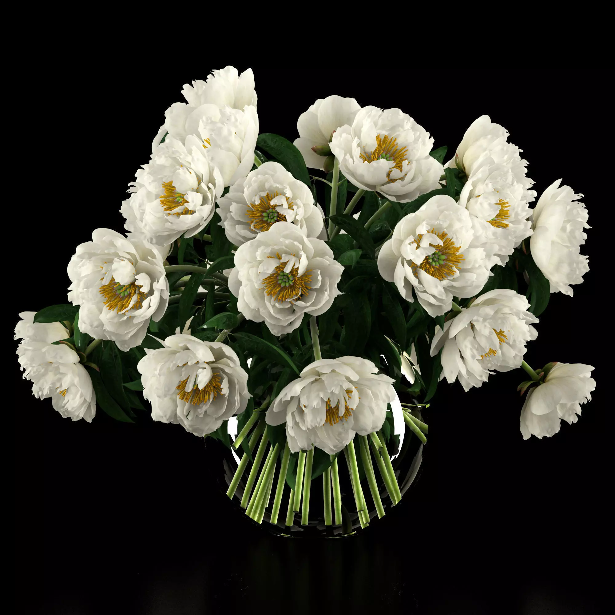 White peonies 3D model_2