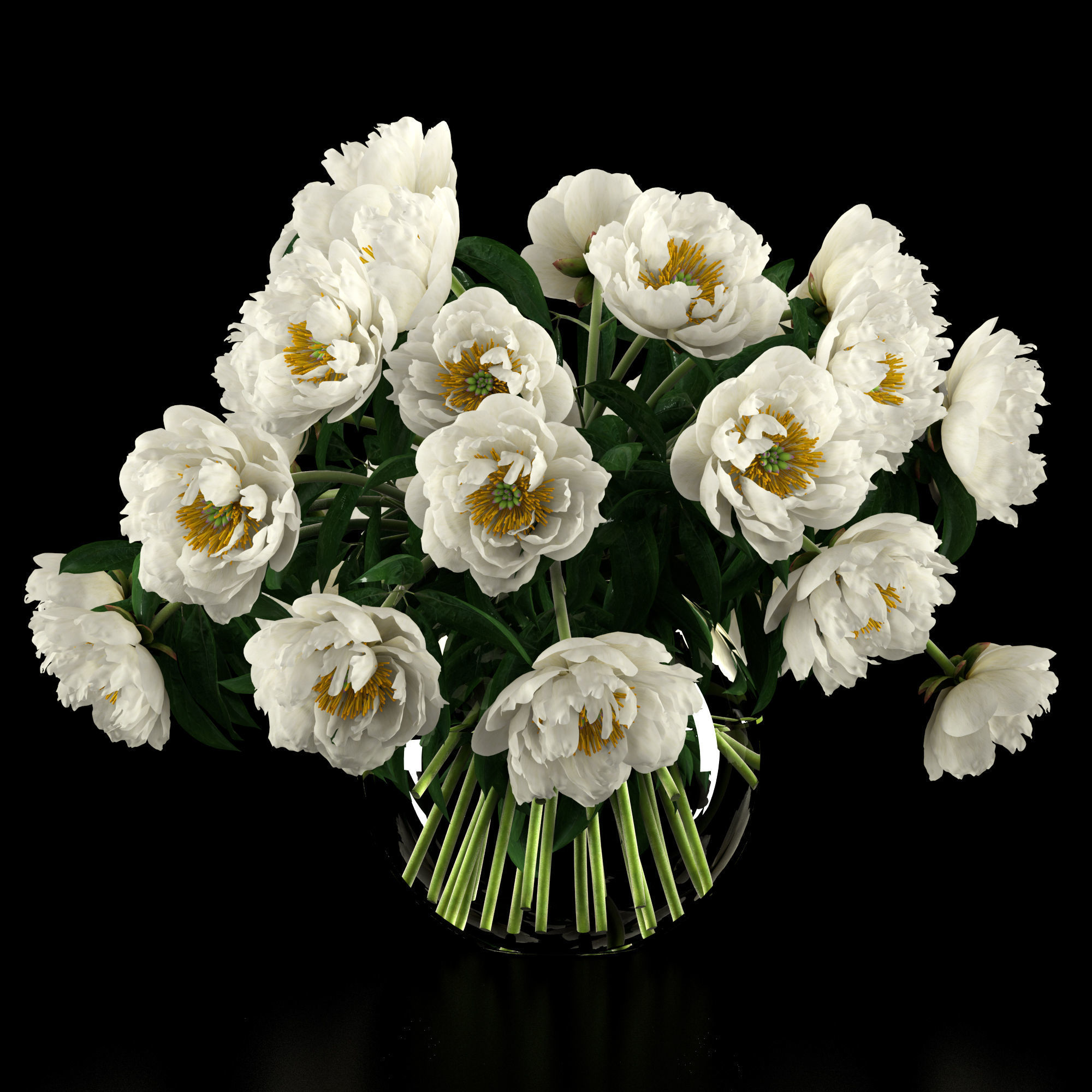 White peonies 3D model_8