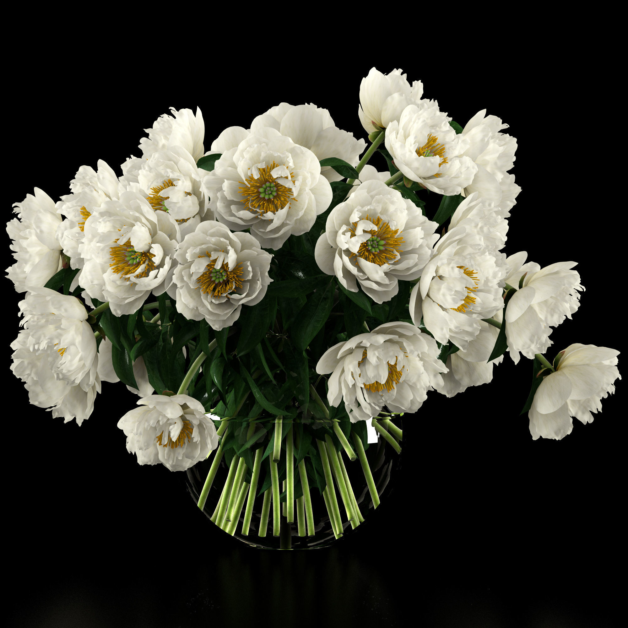 White peonies 3D model_6