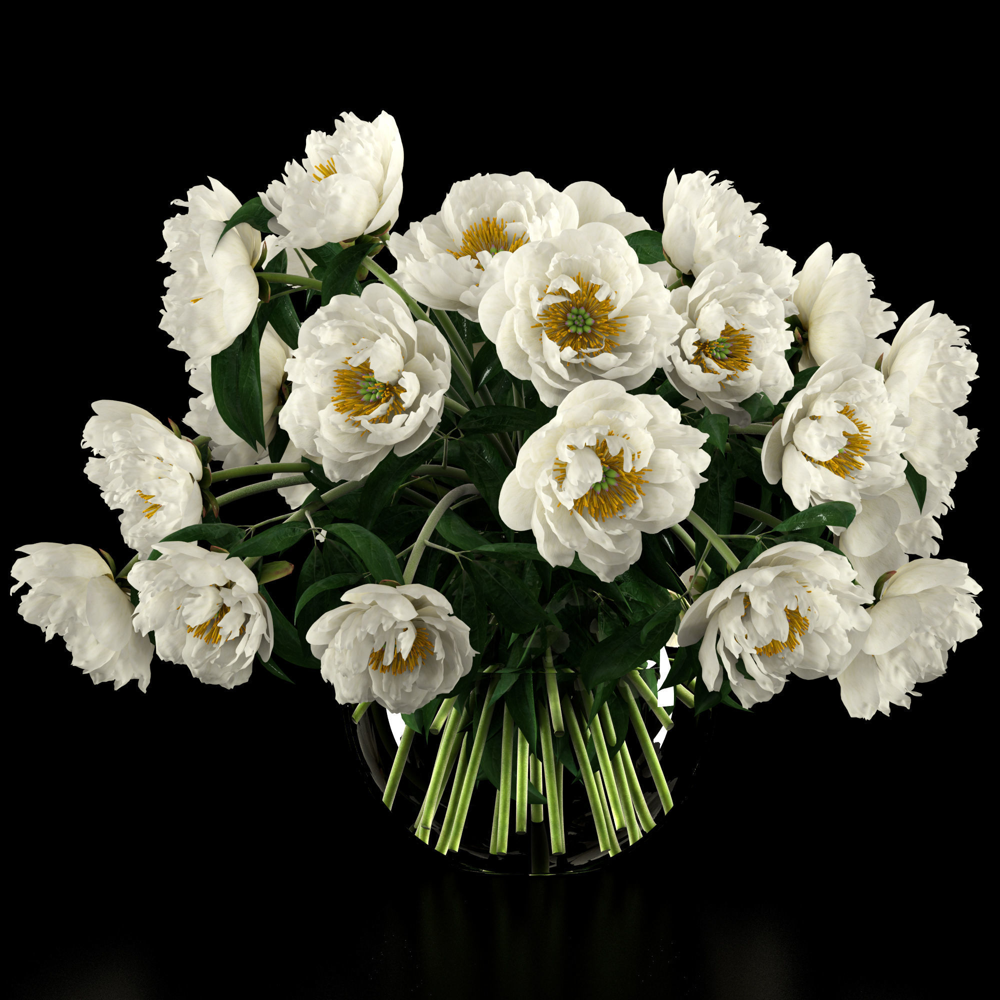 White peonies 3D model_9
