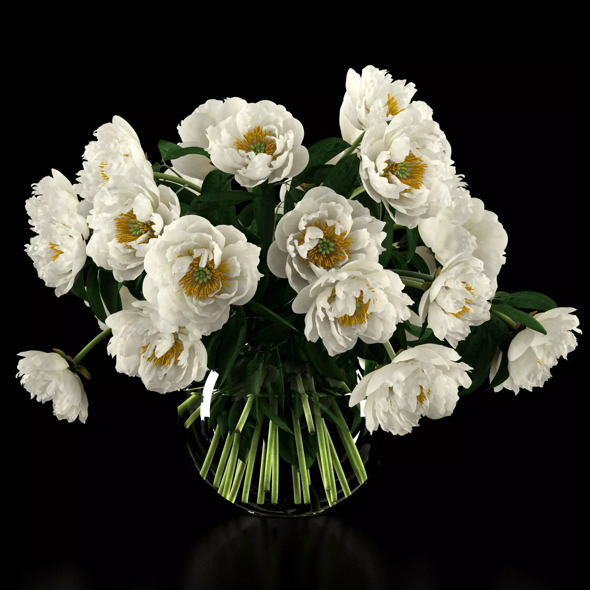 White peonies 3D model_1
