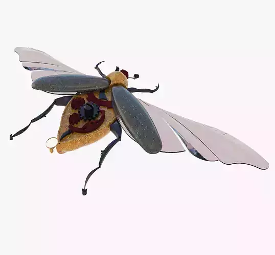 Souvenir of the May beetle