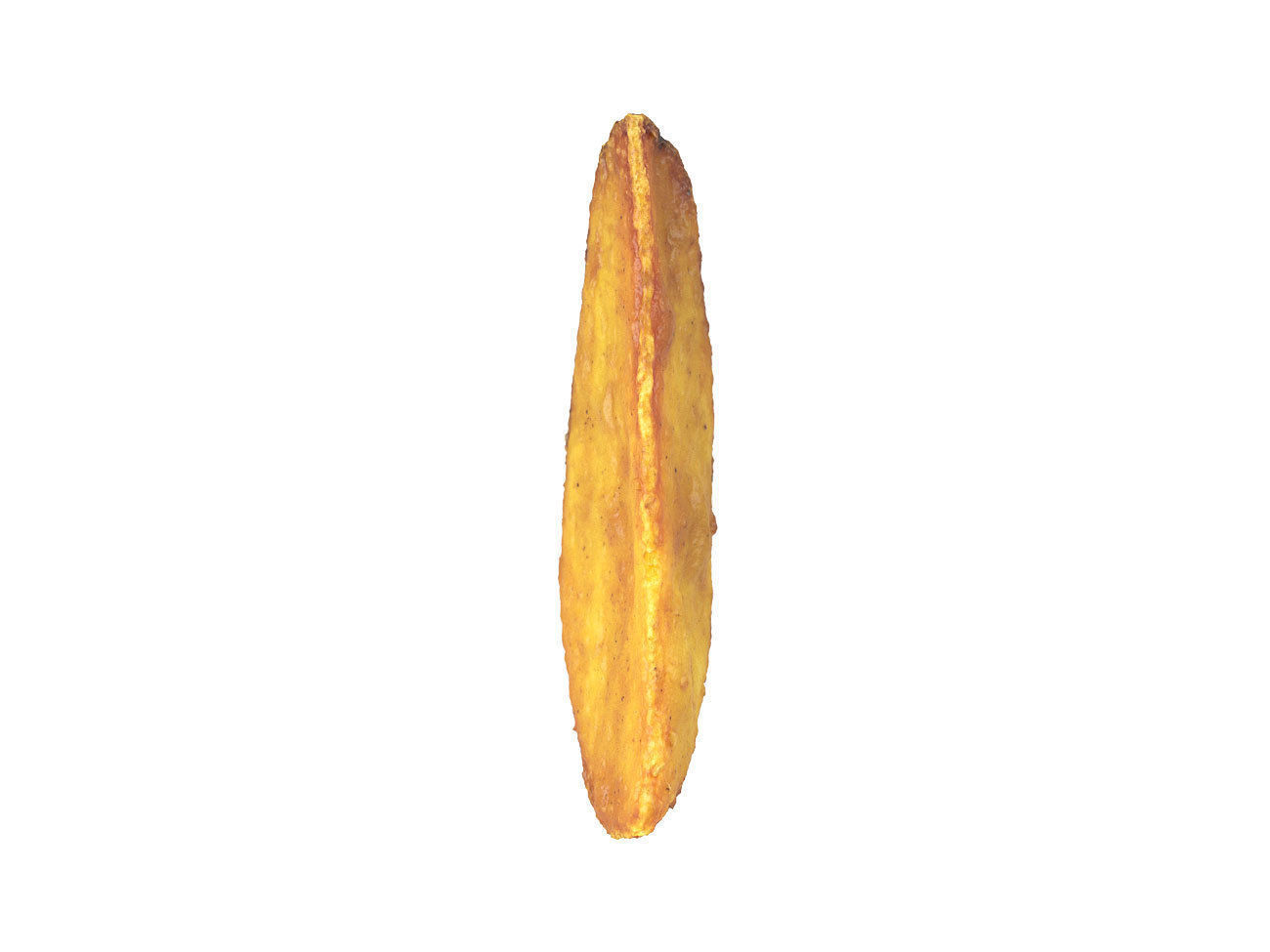 Photorealistic Fried Potato Wedge 3D Scan 1 3D model_4