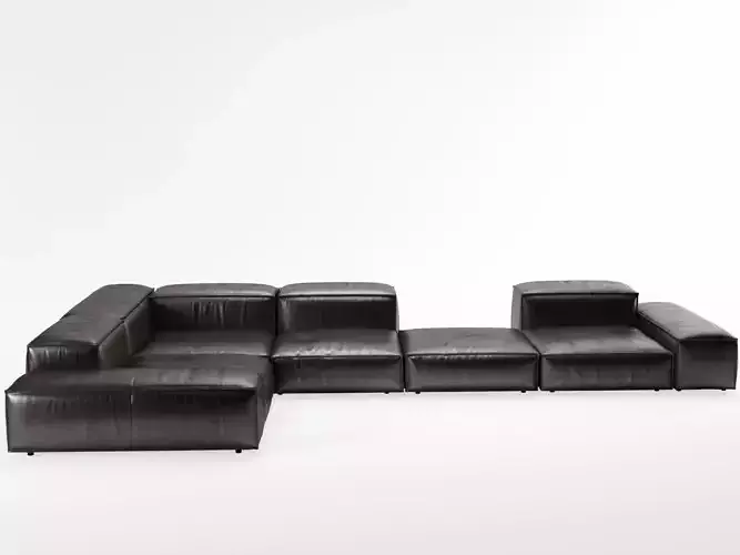 Extrasoft E sectional sofa leather