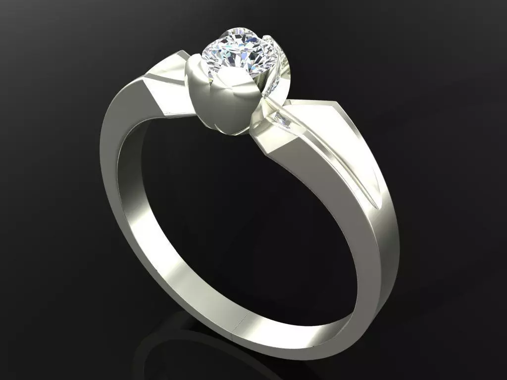 tier 02 ring 3D print model