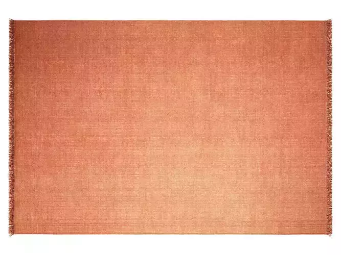 Punk Rectangular Rugs 3D model
