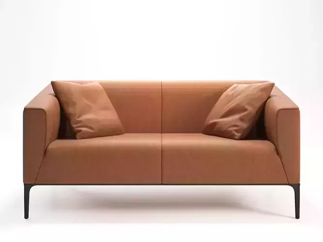 DS 161 23 Sofa