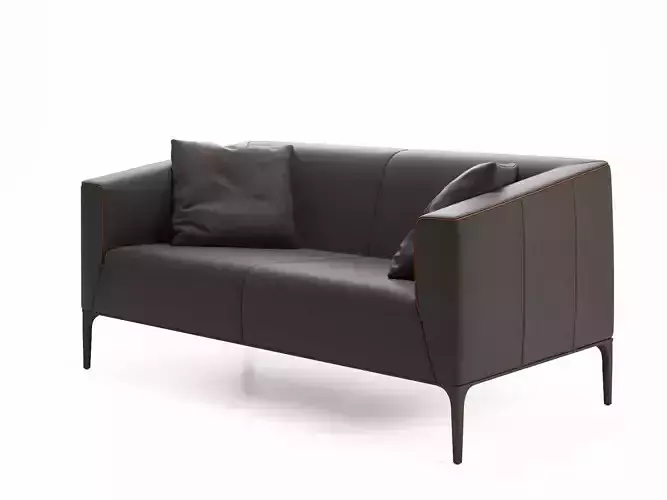 DS 161 23 Sofa