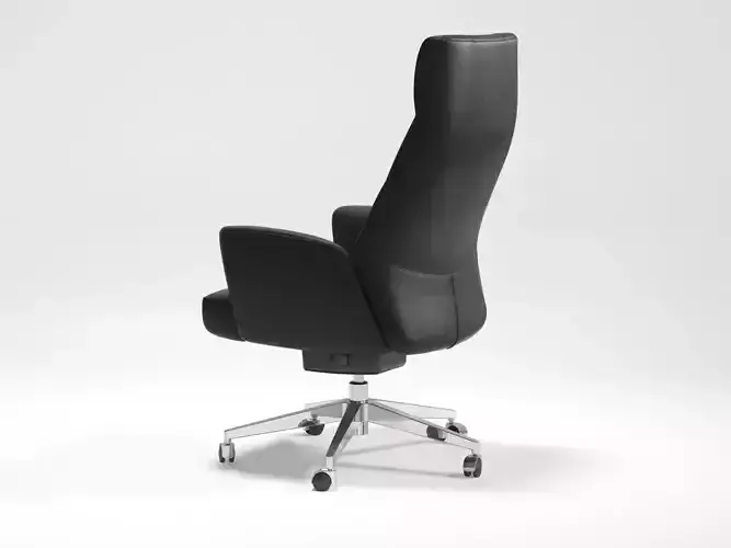 DS 257 Office Chair