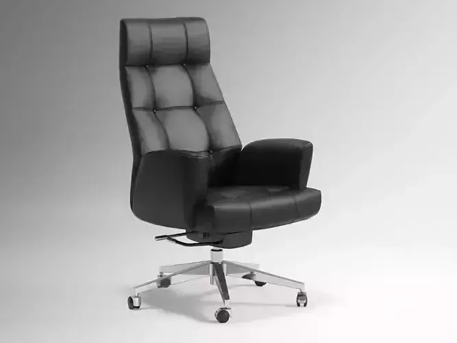 DS 257 Office Chair