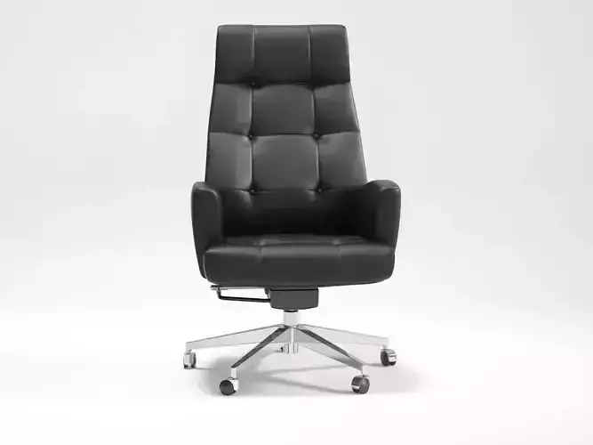 DS 257 Office Chair
