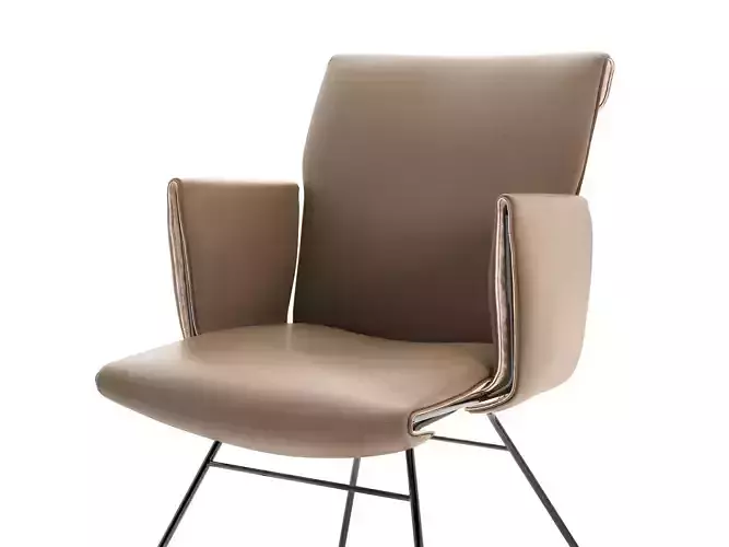 DS 515 Chair with Armrests