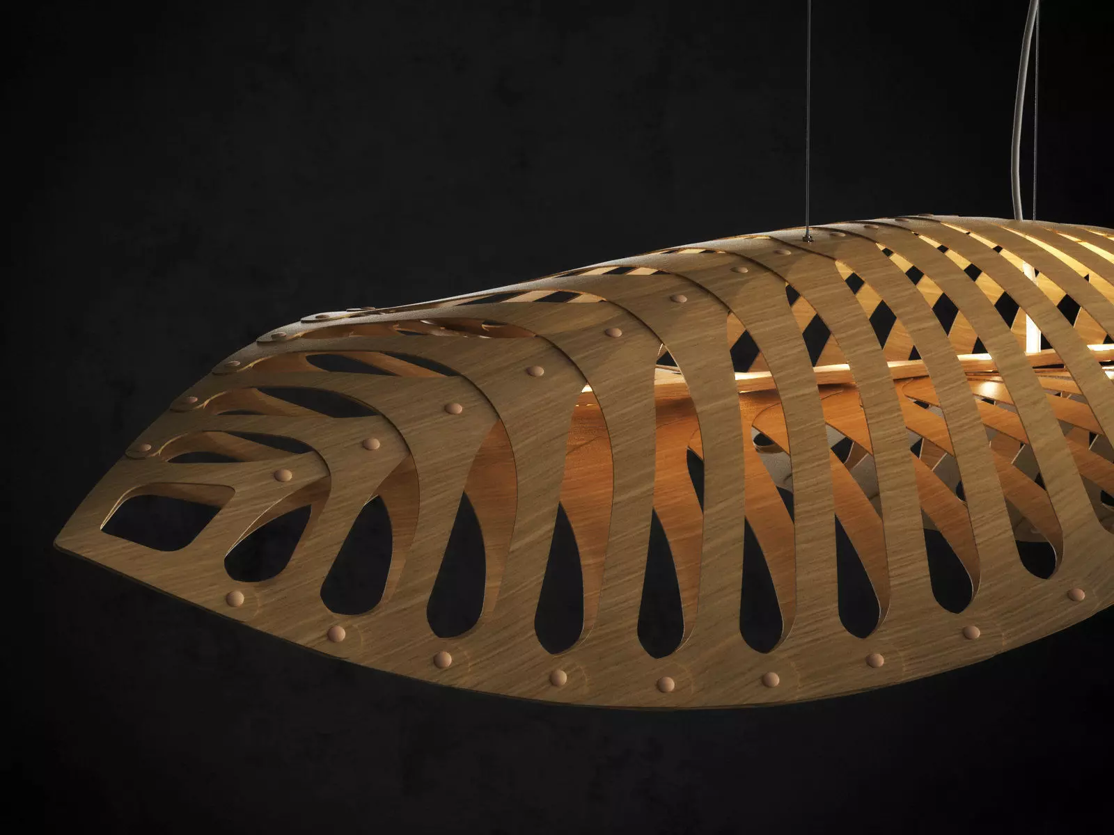 Navicula Pendant Light 3D model_2