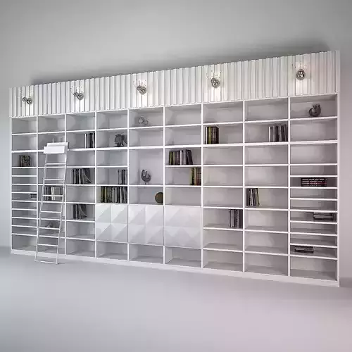 Modern Bookcase