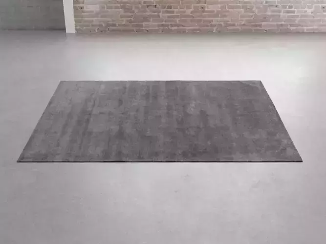 Thaila Plain Carpets 3D model