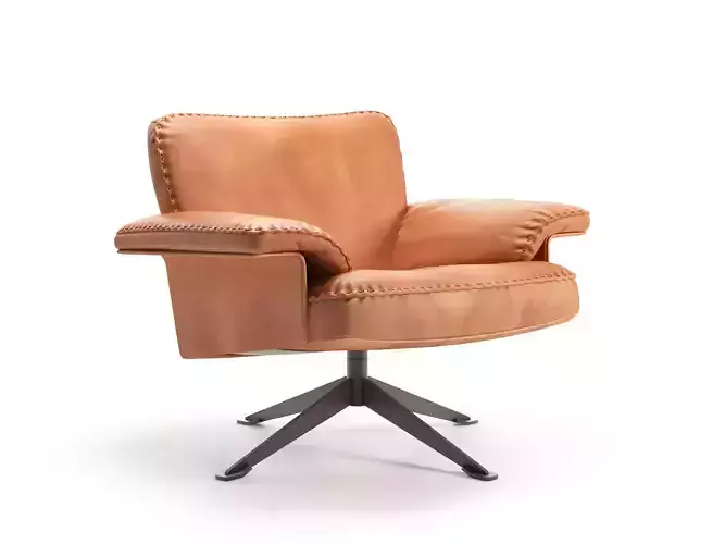 DS 31 101 Armchair
