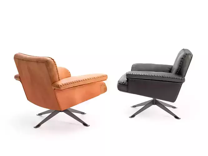DS 31 101 Armchair 3D model