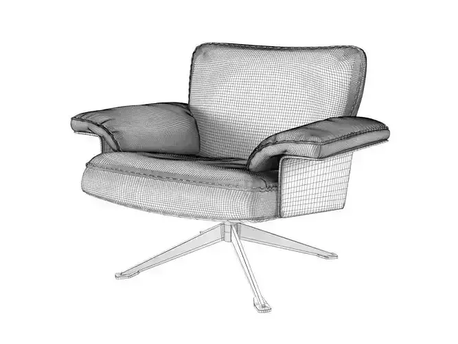 DS 31 101 Armchair