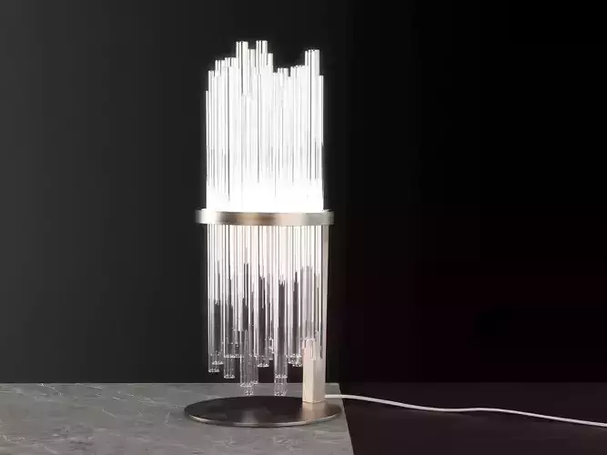 My Lamp Shade 3D model