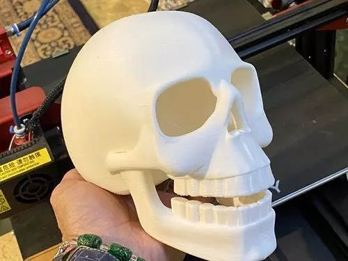 SKULL -install your order 3D print model_0