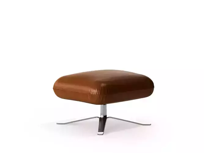 Senator Armchair and Ottoman