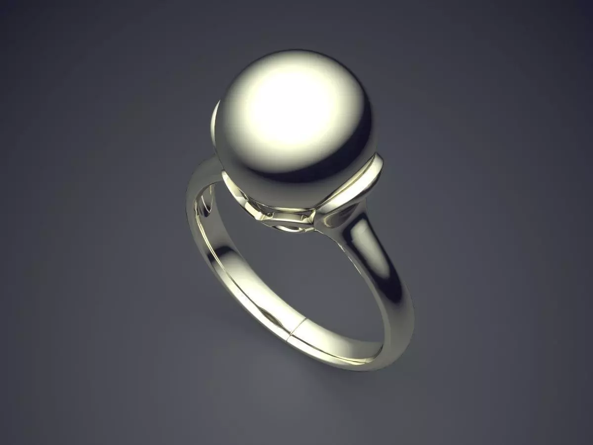Ring CAD-6667 3D print model_1