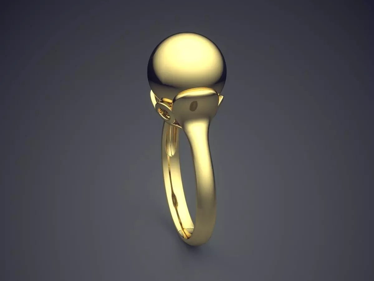 Ring CAD-6667 3D print model_3