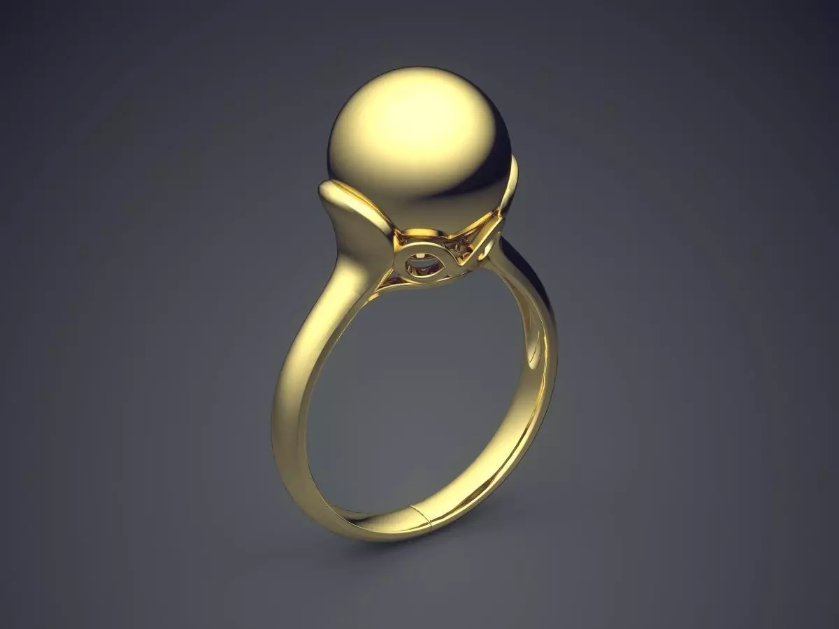 Ring CAD-6667 3D print model_0