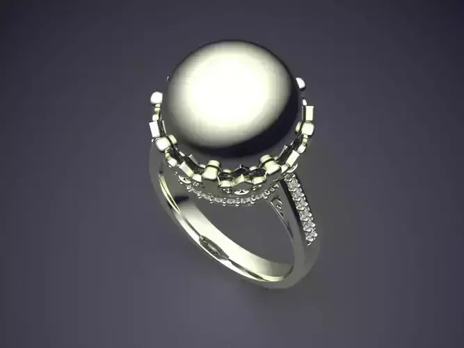 Ring CAD-6134