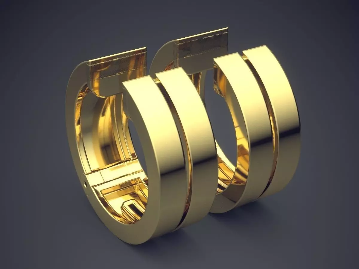 Clipping Double Circle Earrings CAD 5753 3D print model