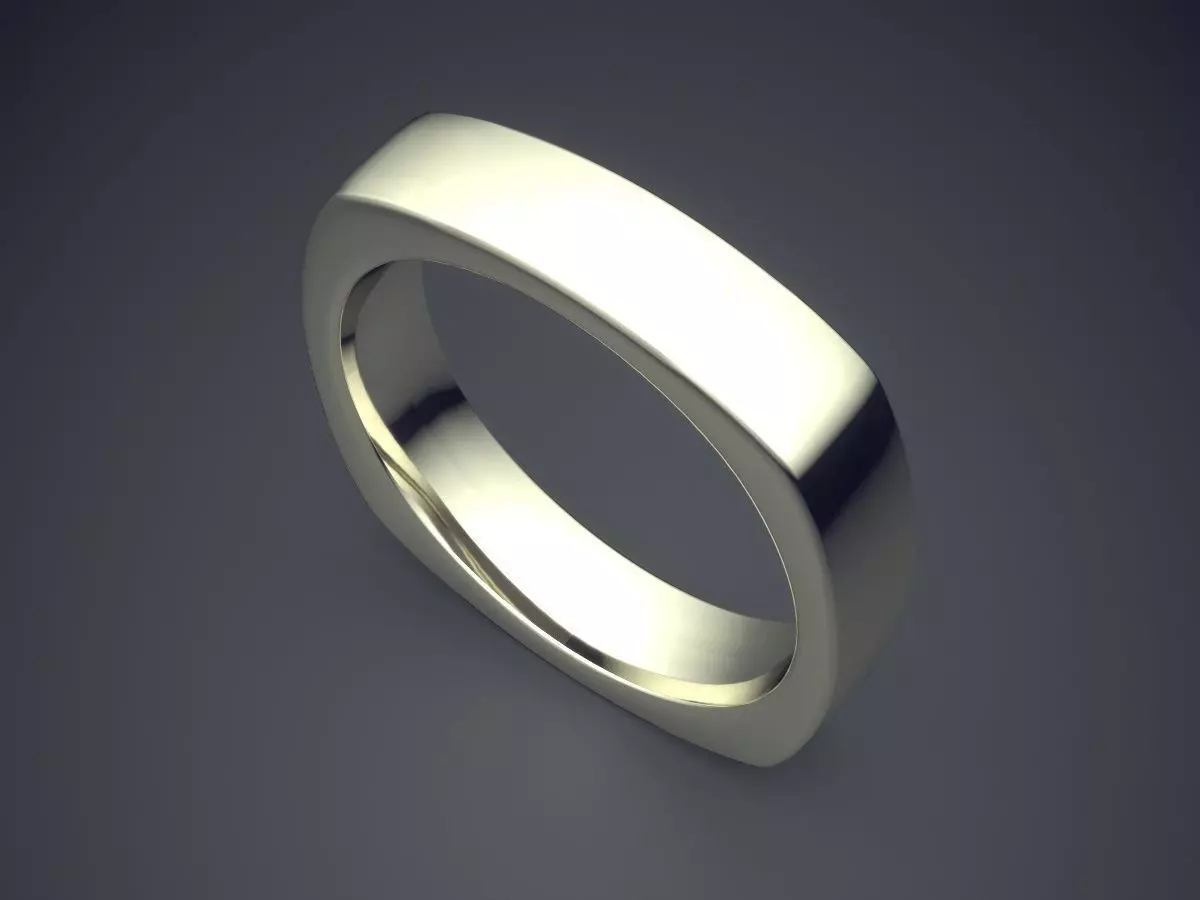 Ring CAD-5703 3D print model_1