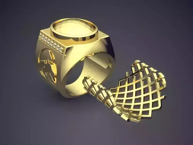 Thick Ring With Net CAD 5413