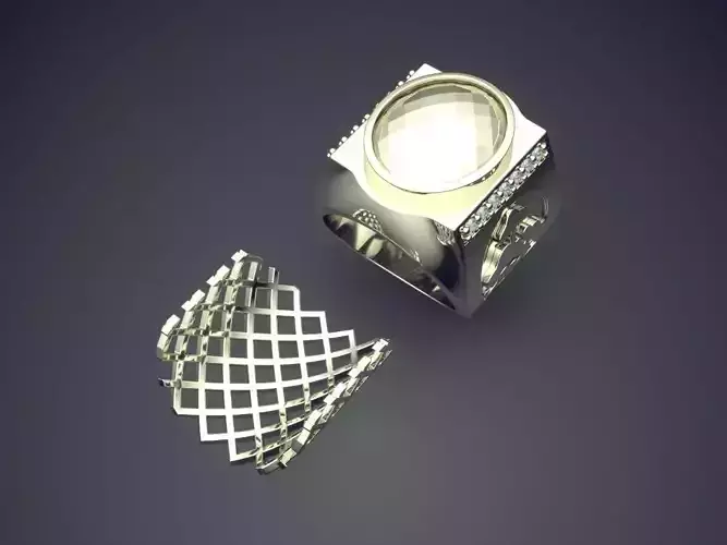 Thick Ring With Net CAD 5413